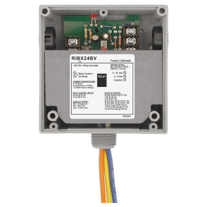 RIBX24BV industrial relay