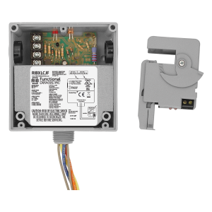 RIBXLCJF industrial relay
